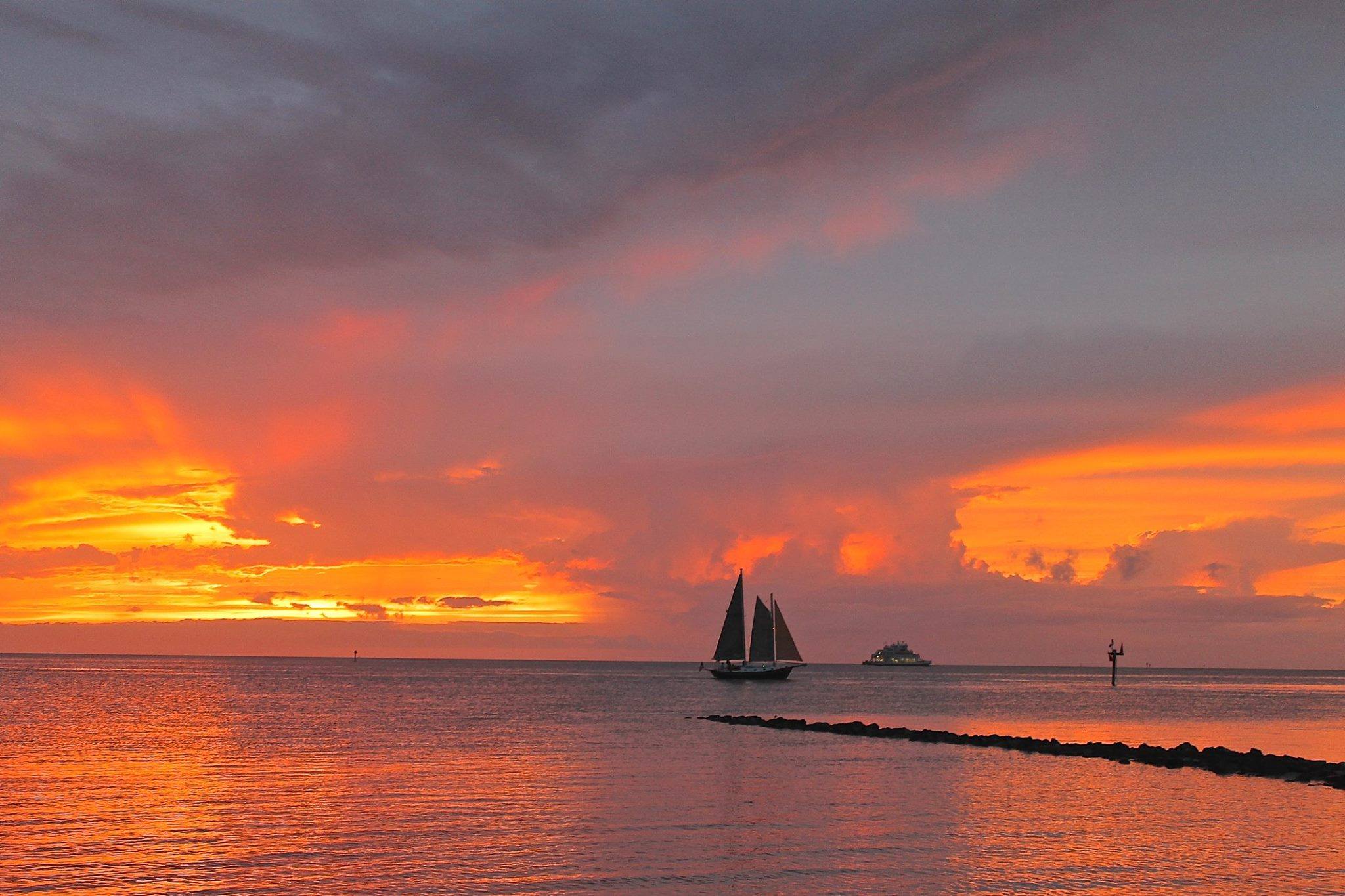 Thing To Do Attractions & Experiences